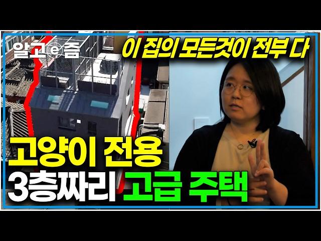 "여긴 그냥 고양이 천국이에요" 고양이를 위해 3층짜리 건물을 올린 집사의 이야기｜고양이를 부탁해｜알고e즘