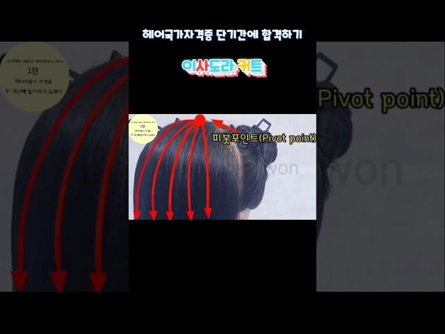 이사도라 커트 방사형으로 빗질하세요  헤어국가자격증 단기간에 합격하기 노하우  제2과제-헤어커트  #헤어국가자격증 #이사도라커트  #헤어커트#1인미용실 #헤어미용