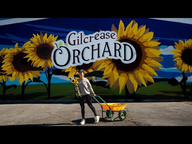 Vegas Fruit-Picking Adventure Gilcrease Orchard