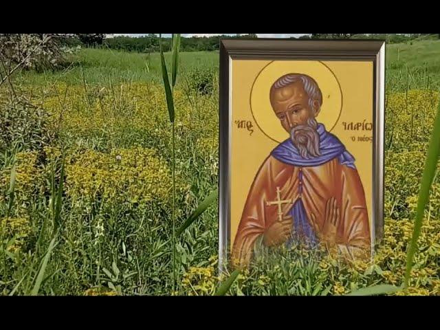 19 июня Илларионов день. Прислушайтесь к советам близких людей - они  могут оказаться верными