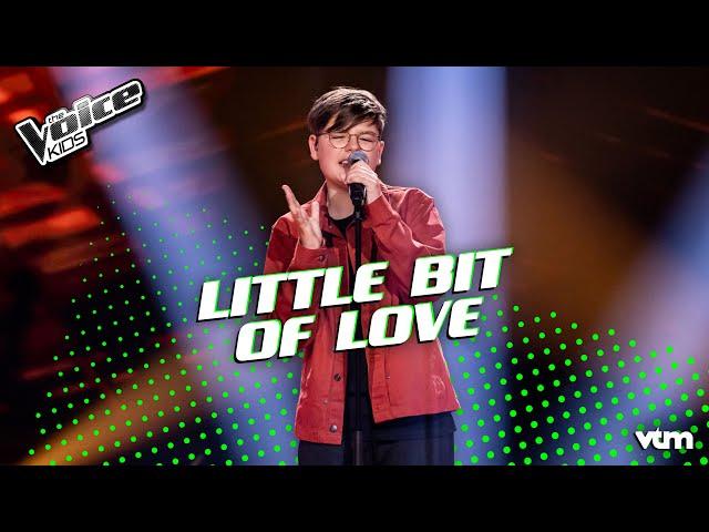 Sid - 'Little Bit of Love' | Finale | The Voice Kids | VTM