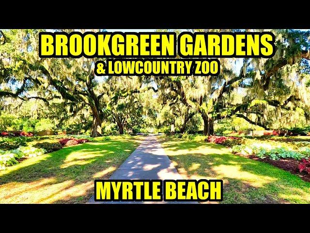 Brookgreen Gardens Tour Near Myrtle Beach, SC! Botanical Gardens, Lowcountry Zoo, Art & More!