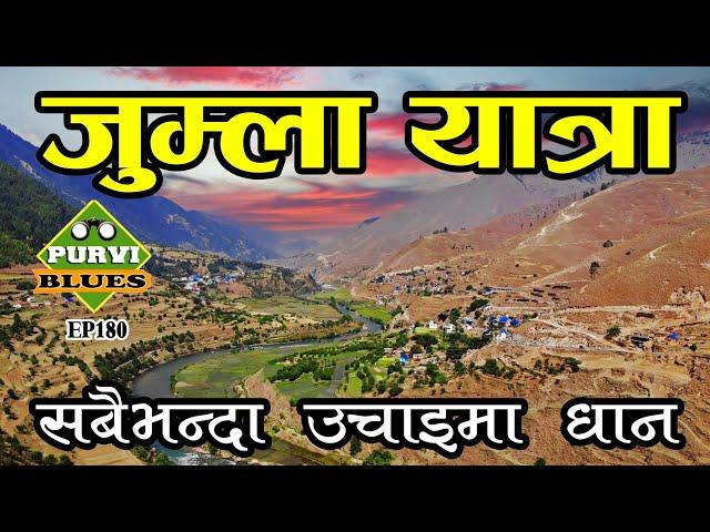 जुम्ला यात्रा || Trip to Jumla Nepal || मार्सी धानको रोपाईं || Jumla Chandannath & Sinja Valley