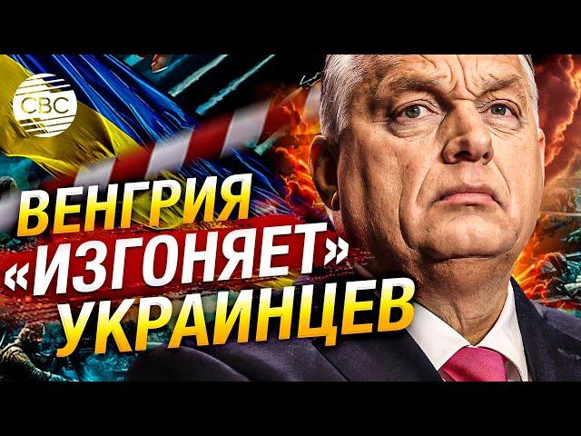 Венгрия ужесточила правила для беженцев из Украины. Без крыши могут остаться тысячи людей