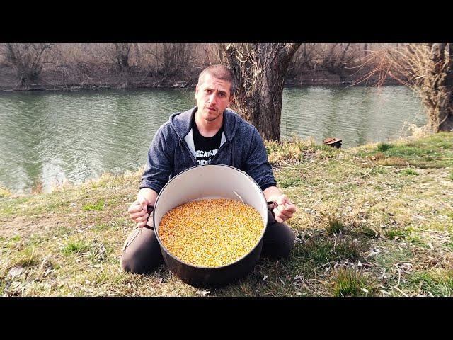 Ispuni ove uslove i upecaj više šarana - Februarsko sipanje uz otkaz | CARP FISHING TAMIS RIVER