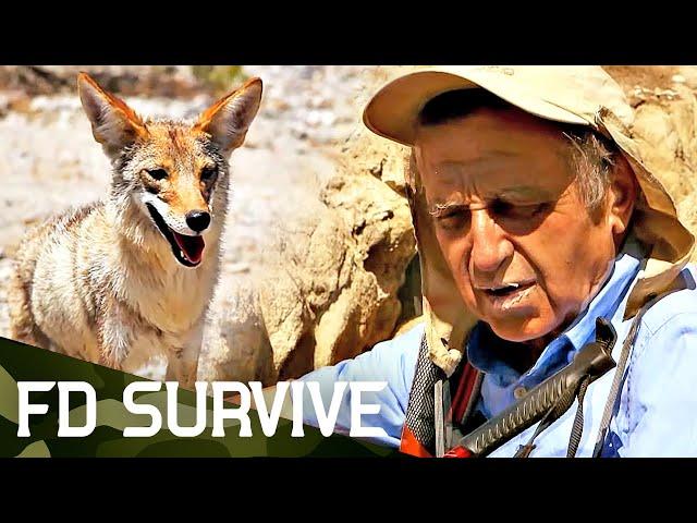 Under the Desert Sun: 6 Days Without Food or Water | Survival Stories | FD Survive