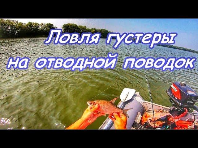 ЛОВЛЯ МИРНОЙ РЫБЫ НА ОТВОДНОЙ ПОВОДОК/РЫБАЛКА НА СПИННИНГ/ЧАПАЕВСКИЕ ЛУГА САМАРСКОЙ ОБЛ/ГУСТЕРА/ЛЕТО