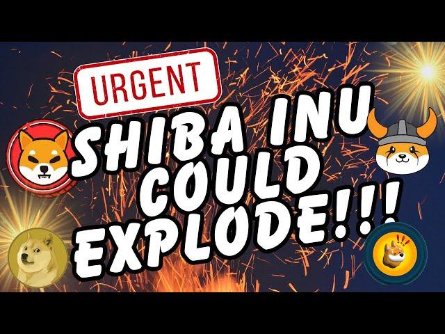  URGENT!  Shiba Inu Coin Price Prediction! SHIB To Make Millionaires 2025! #Shibainu #shib