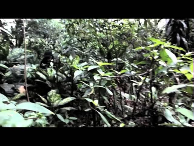 VIETNAM WAR INDEPENDENT MOVIE...Airsoft community SAG-ID present "FIGHT NO MORE"