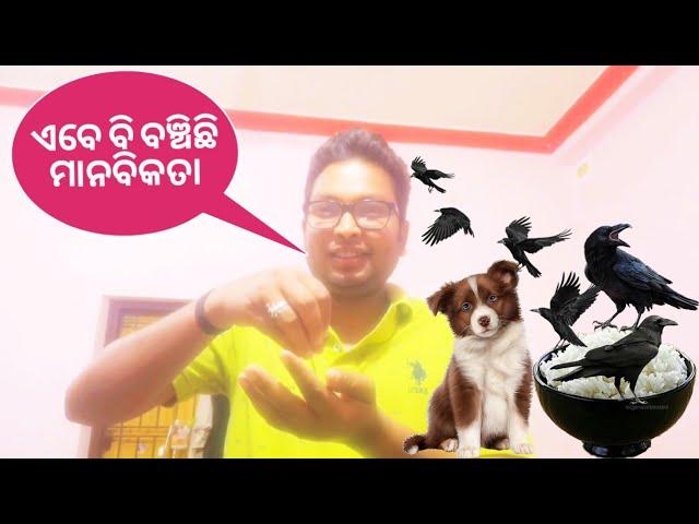 ଏବେ ବି ବଞ୍ଚିଛି ମାନବିକତା /KUMAR SUBRAT (KS)