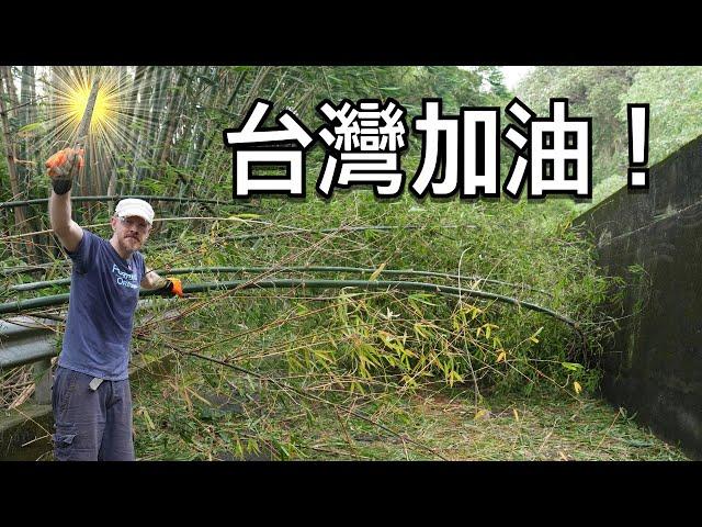 颱風走了，但還是要小心這種風險。台灣加油！Typhoon Gaemi Aftermath: Our Road is Blocked! But All Is Well!