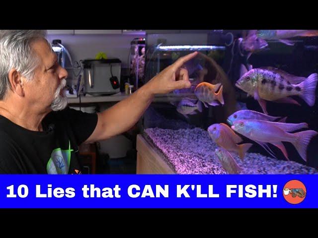 DON'T BELIEVE These *FISH KEEPING MYTHS!*