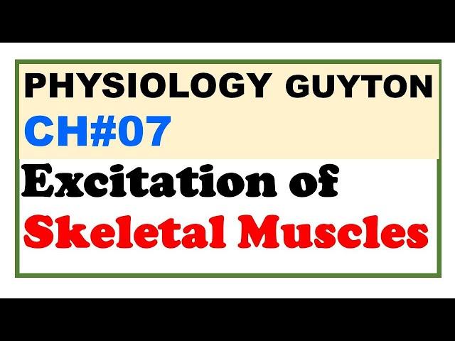 Chp#7 Guyton | Excitation of Skeletal Muscles | Excitation Contraction Coupling | Dr Asif Lectures