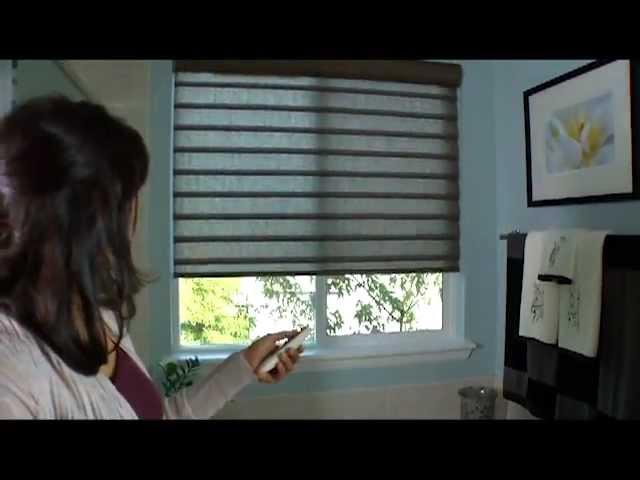 Hunter Douglas Pirouette with PowerRise