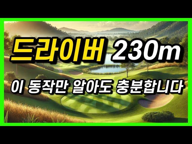 드라이버 230까지는 이 동작만 연습해주세요.