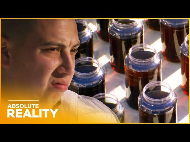 From Sugar to Sickness: Syrup Addiction Exposed | Absolute Reality