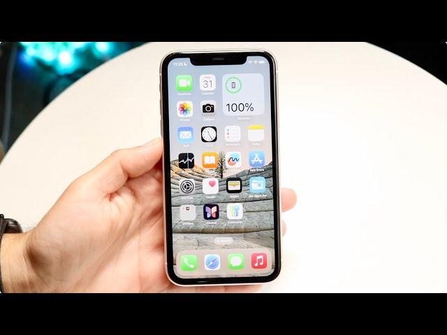 iPhone 11 In LATE 2024! (Still Worth Buying?)