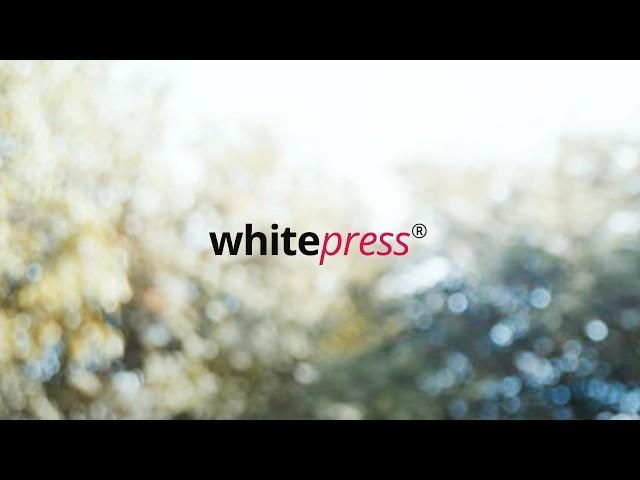 WhitePress® presents: What SEOs Want