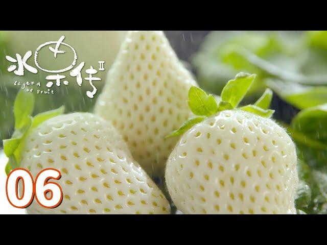 【水果传第2季】第6集：我们不一样 | Legend of Fruit S2 | 腾讯视频 - 纪录片