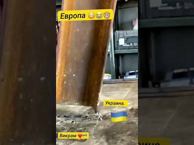 Зачем Европе Украина! всё просто . #юмор #прикол #славаукраїні