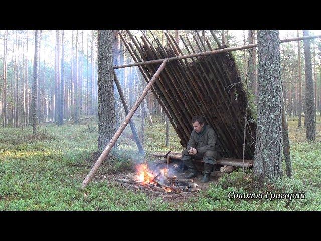 Укрытие от дождя в сосновом лесу из природных материалов.