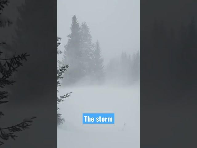 STORM| SNOWSTORM. Ветер, снежная буря