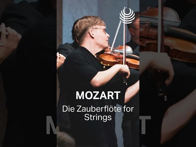 Classic Mozart with the Norwegian Chamber Orchestra #classicalmusic #symphonylive