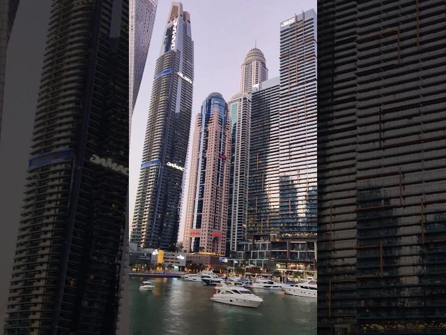 Dubai Marina Sunset Cruise  #dubai #travel #dubaimarina #sunset #cruise