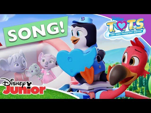 Bringing This Family Home  | T.O.T.S. | Disney Junior Arabia