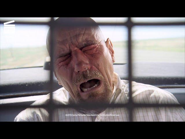 Breaking Bad Season 3: Episode 2: Walt Gets Pepper Sprayed (HD CLIP)