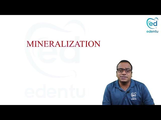 Tooth Mineralization |  Oral Histology First year BDS | Edentu Learning App @Edentu.official