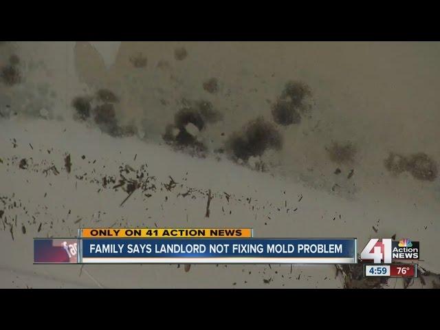 Family says landlord not fixing mold problem