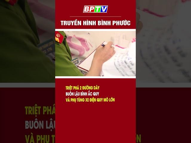 Triệt phá 2 đường dây buôn lậu bình ắc quy và phụ tùng xe điện quy mô lớn  | BPTV