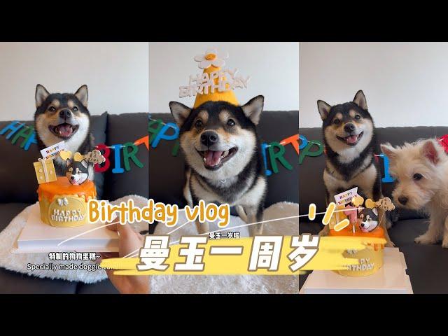 曼玉Manyu生日Vlog，曼玉一周岁啦！