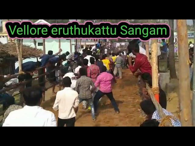 Vellore eruthukattu Sangam