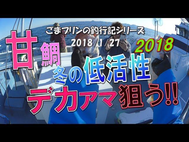 【相模湾アマダイ】冬の城ケ島、低活性でもデカアマ狙う!!（2018/01/27）五エム丸