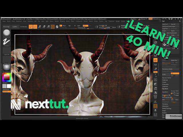 Zbrush Beginner Tutorial | Learn Zbrush in 40 min!