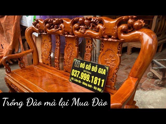 Nghệ Nhân Trồng Đào Nhật Tân mua Ghế Minh Đào Ngồi Tết | Đồ Gỗ Đỗ Gia