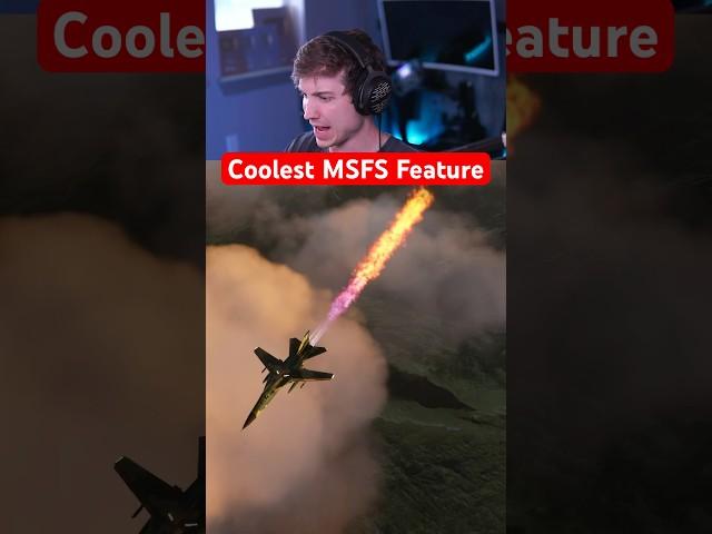 The Coolest Thing in Microsoft Flight Sim