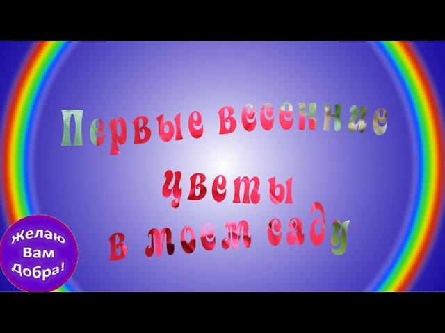 Первые весенние цветы в моем саду