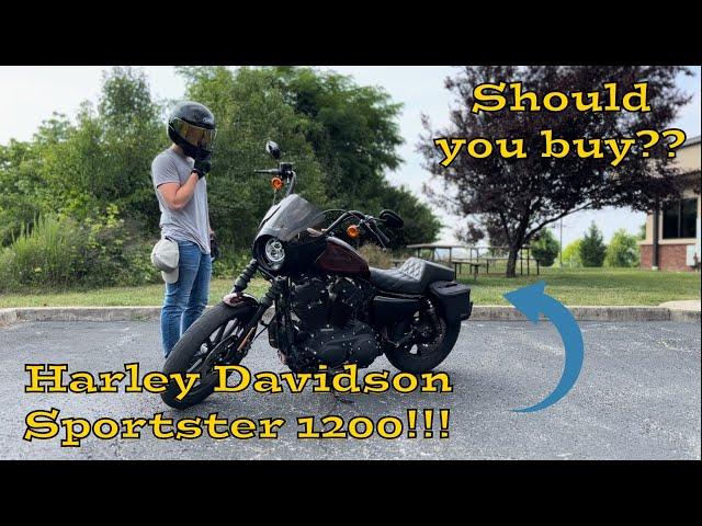 Watch this BEFORE you buy a Sportster 1200!!!