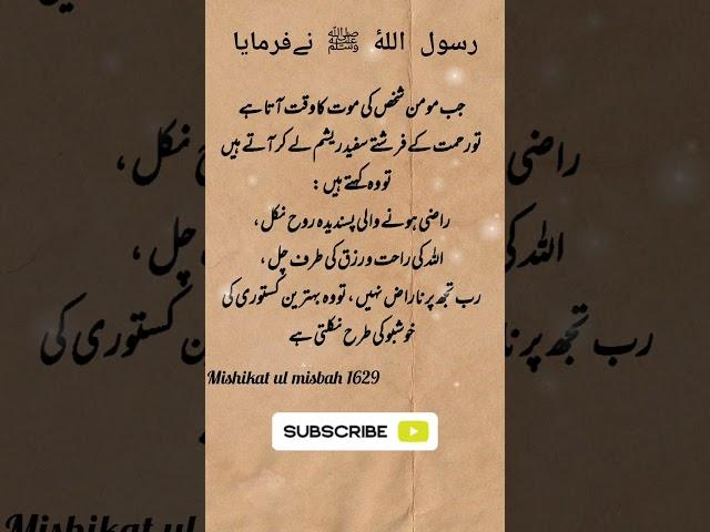 Nabi Saw Ki Batein | Nabi Saw Ki Hadees #islam #islamic #hadees