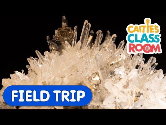 Explore Amazing Rocks and Minerals! | Caitie's Classroom Field Trip | Science & Colors For Kids