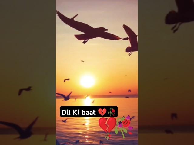 Dil Ki baat#short video yt shorts#ayaan #Ayaan Islamic channel#