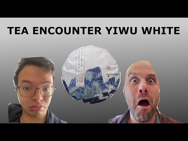 2023 Tea Encounter Yiwu White Tea [Episode 489]