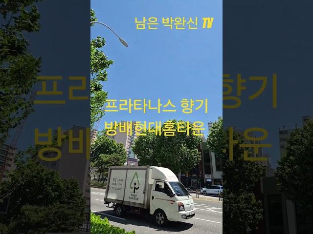 #프라타나스 향기 짙은 서울서초구방배 현대홈타운 단지