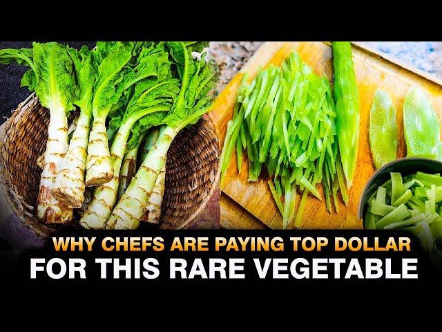 Why Chefs Are Paying Top Dollar for This Rare Vegetable?