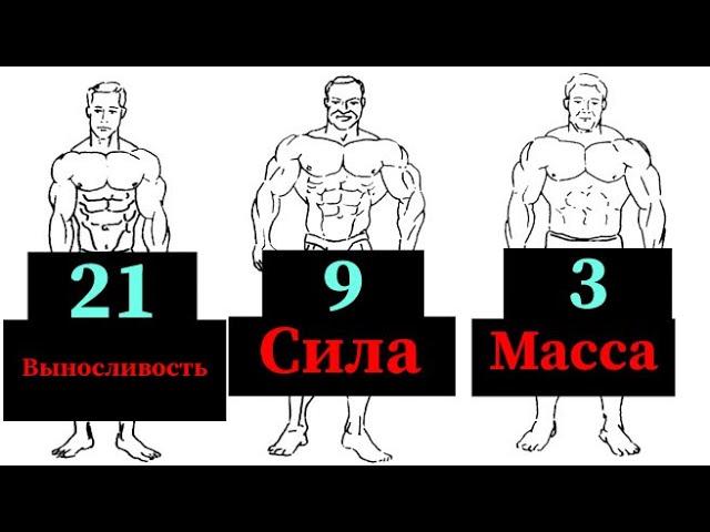 СИЛА,МАССА ИЛИ ВЫНОСЛИВОСТЬ ? КОЛИЧЕСТВО ПОВТОРЕНИЙ !