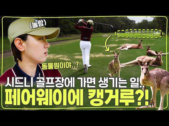 호주 골프장에서는 캥거루를 조심하세요 ㅣ시드니 골프 세미나 - 얼리 익스텐션 교정TIPㅣ시드니 V-log 2탄 