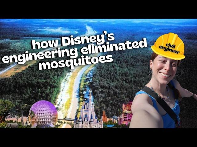 Why Disney World Has No Mosquitoes | Civil Engineering at Disney